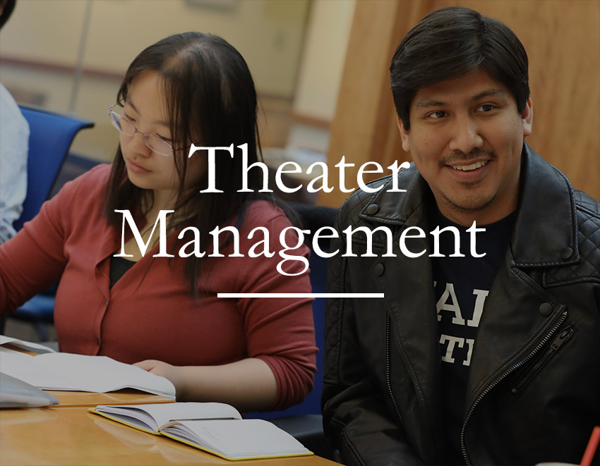 Theater Management image